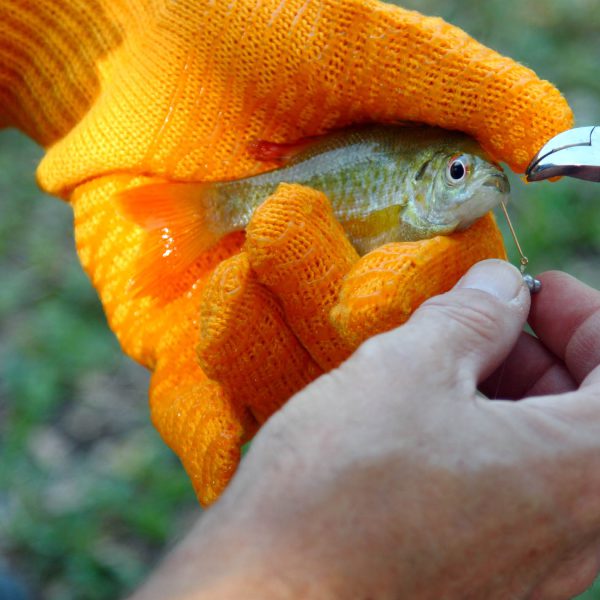 ROCK FISH™, Fish Gripper: #FP3900 - Image 2